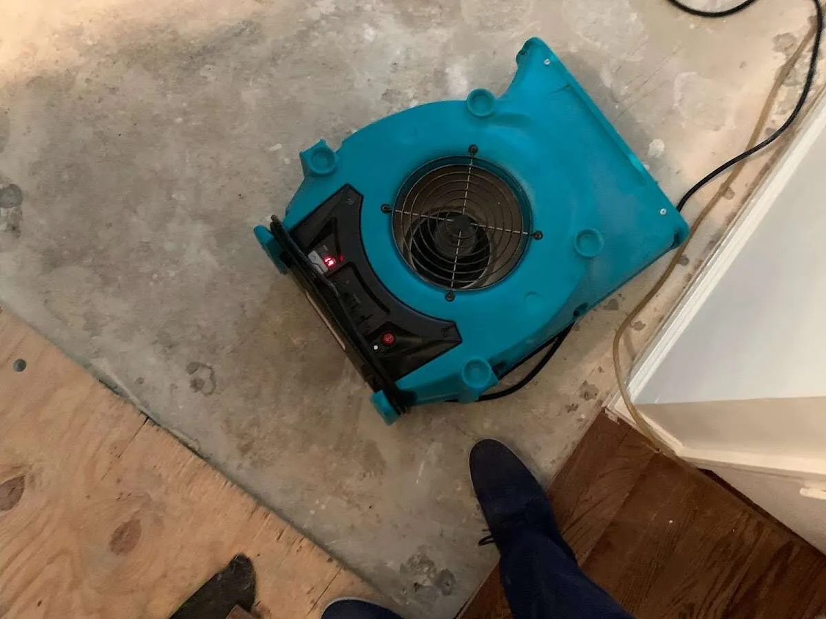 Air mover drying subfloor during Commercial Water Damage Restoration in Citrus Park